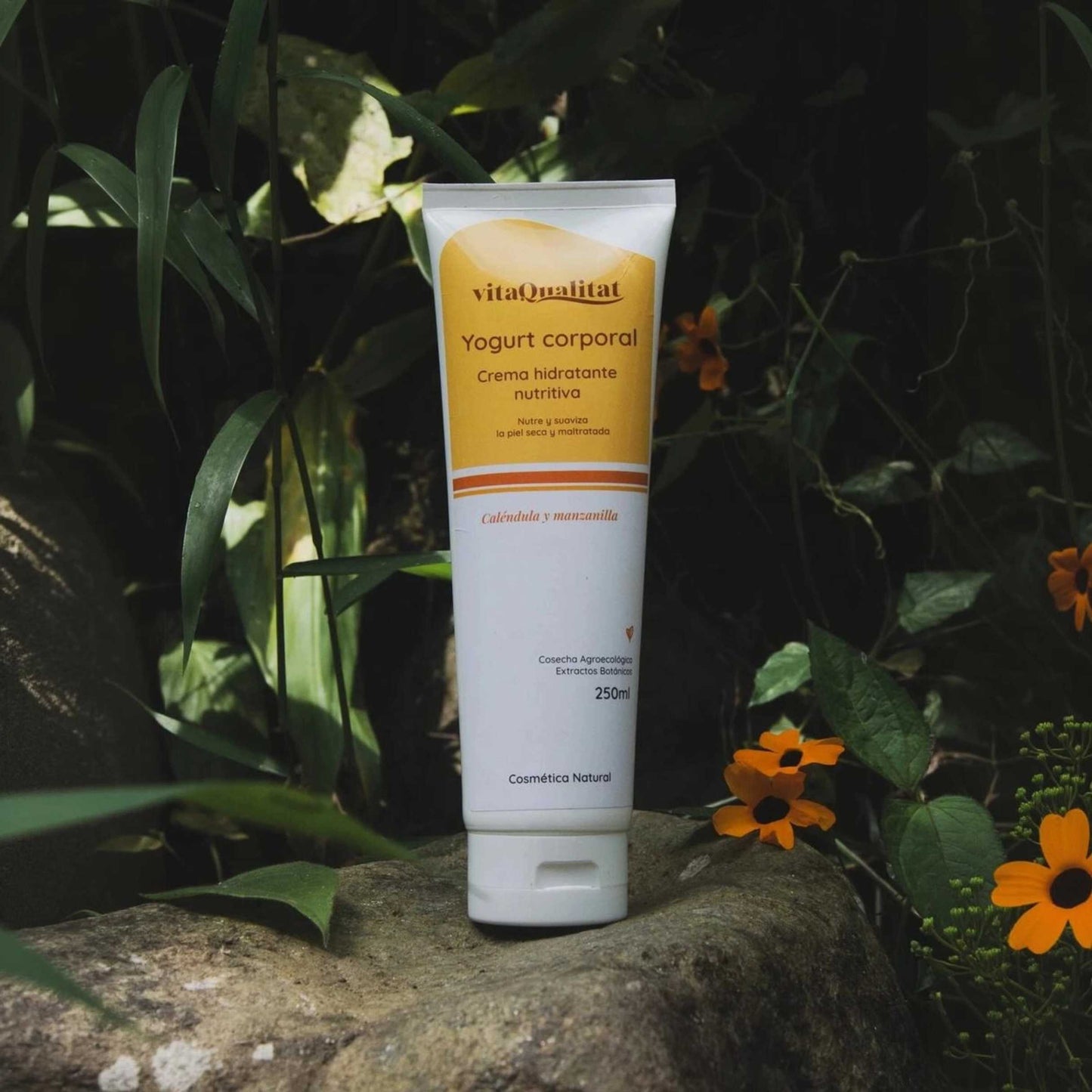 Yogurt Corporal Nutritivo 250ml