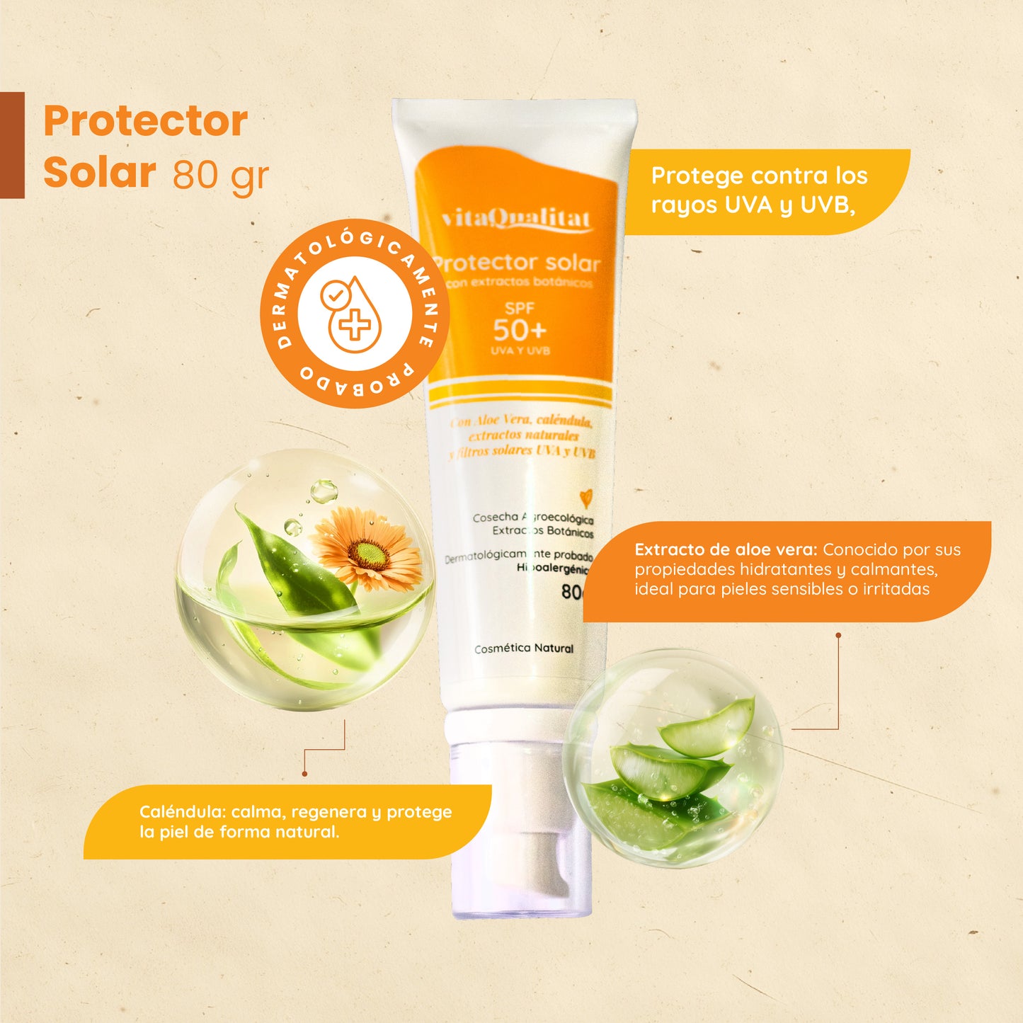 Kit Vitalidad – Cáncer Cabeza y Cuello